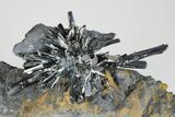 Lustrous, Metallic Stibnite Crystal Spray On Matrix - China #175843-3